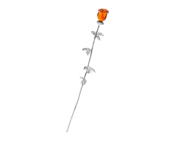 Rhodium Plated Silver Celebration with Amber