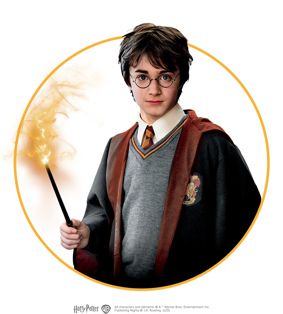 Harry PotterTM